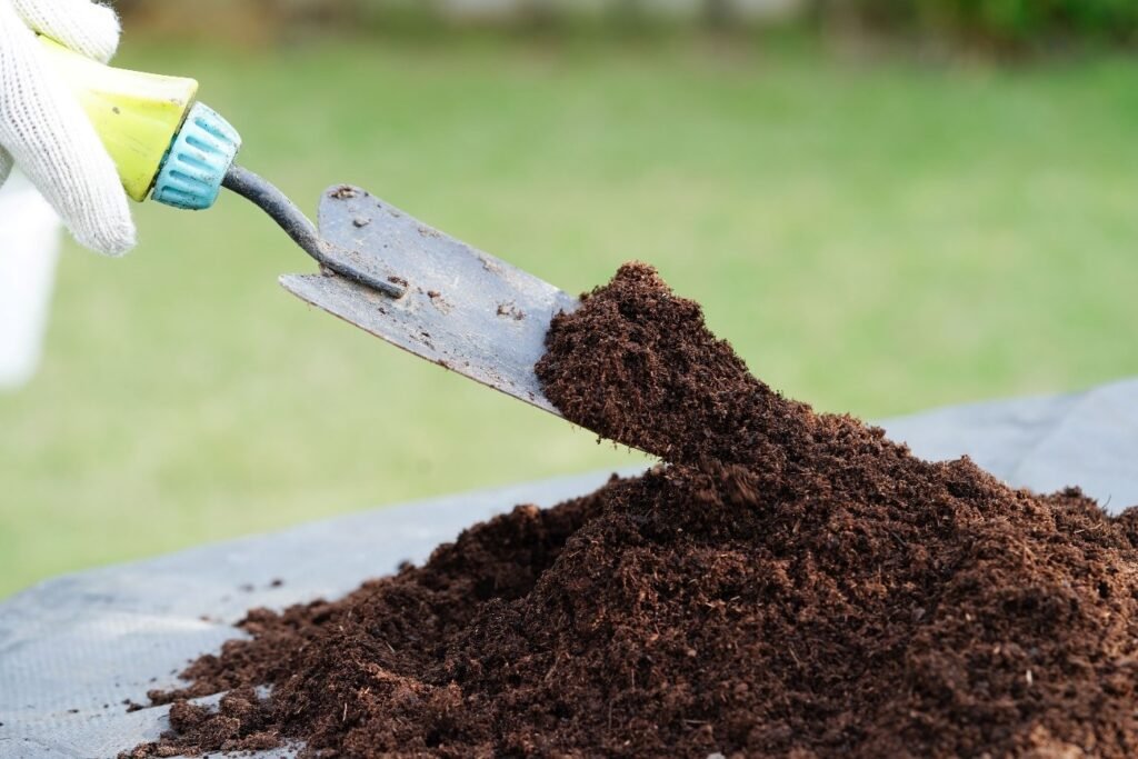 Qual a importância da adubação orgânica para o solo? 2 uso de adubacao organica