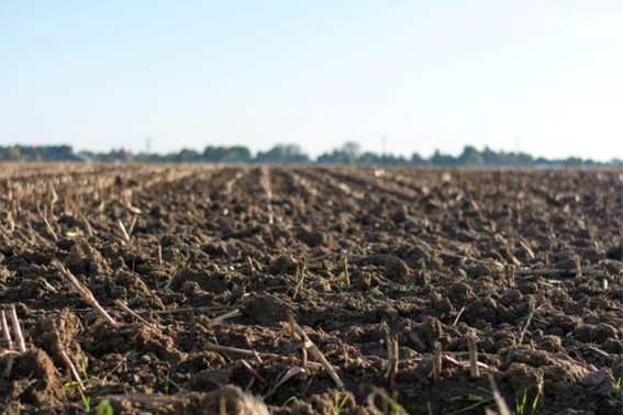 O papel das soluções agroflorestais na recuperação de solos degradados 2 Soluções agroflorestais