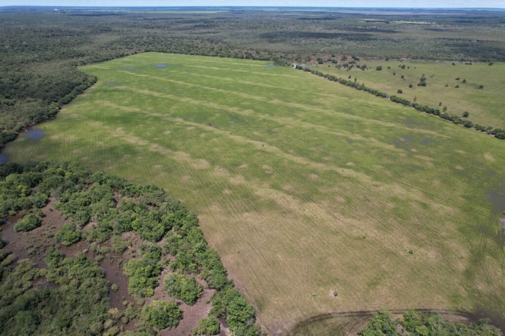 WhatsApp Image 2025 12 16 at 10.57.43