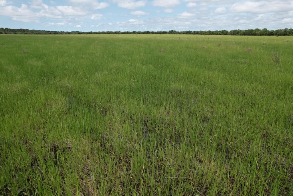 WhatsApp Image 2025 12 16 at 10.57.48