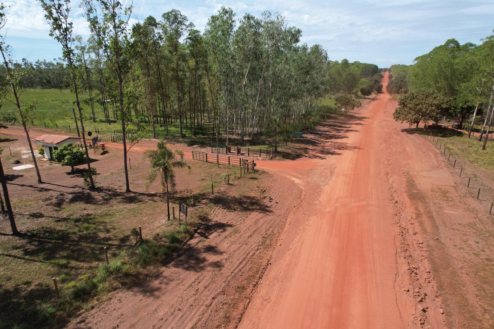 Bioética Ambiental e Responsabilidades - JAMP Florestal