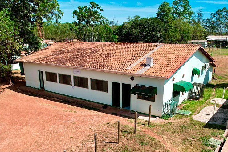 Bioética Ambiental e Responsabilidades - JAMP Florestal