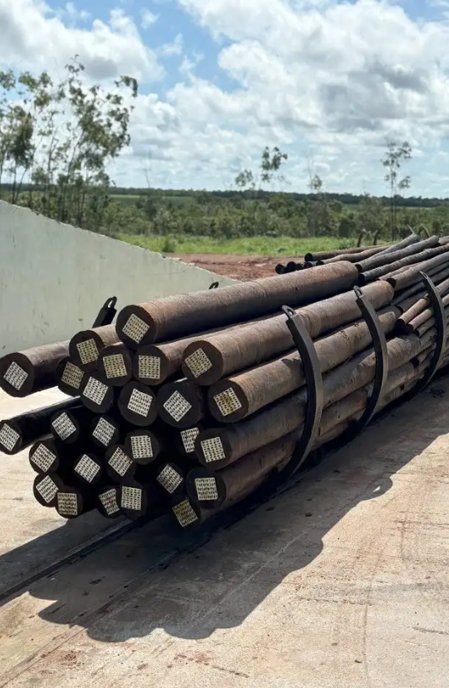 Uma grande madeira de eucalipto está sobre suportes em um espaço externo.